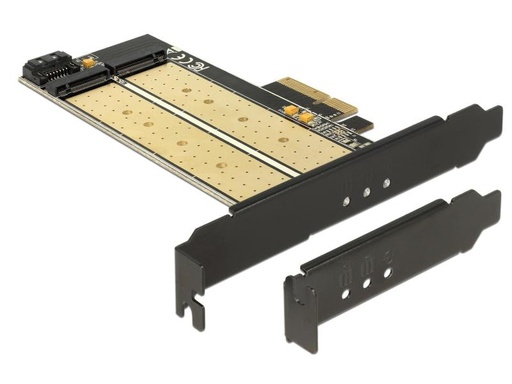 [90038295 788586] Delock Host Bus Adapter PCI-Ex4 - M.2 1xNVME Key-M, 1xSATA Key-B