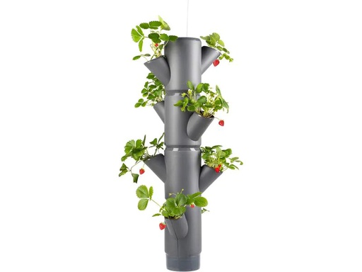 [90230644 1372190] Gusta Garden Aufzuchttöpfe SISSI STRAWBERRY Hanging, Anthrazit
