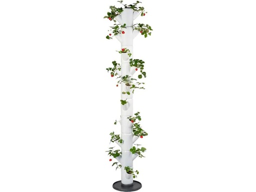 [90234039 1372191] Gusta Garden Aufzuchttöpfe SISSI STRAWBERRY Infinity, Weiss