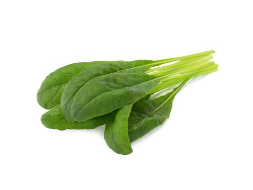 [90039698 996916] Click and Grow Samen Mibuna