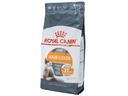 Royal Canin Trockenfutter Hair & Skin Care, 2 kg