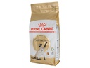 Royal Canin Trockenfutter Siamese Adult, 2 kg