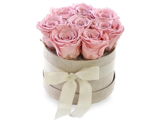 [90236299 1382282] Soli Collection Trockenblumen Rosen 8 Stück, Rosa