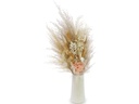 Soli Collection Trockenblumen Peach 60 cm, Weiss
