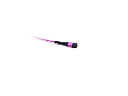 [90040424 840878] Lightwin LWL MTP-Patchkabel Multimode, OM4, f-f 1x12Faser, QSFP+, 2m