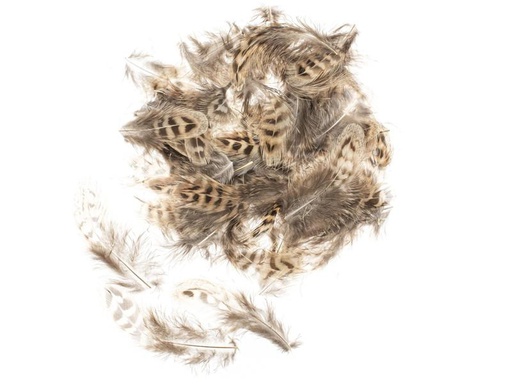[90237928 1369126] Glorex Federn Huhn 5-12 cm, 10g, Braun