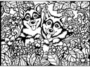 Tataruga Malset Samtbild Huskys A4