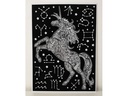 Tataruga Malset Samtbild Einhorn A3