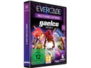 Blaze Evercade Gaelco Arcade 2