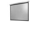 Celexon Deckeinbauleinwand Motor Professional Plus 220 x 165 cm 4:3