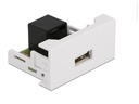 Delock Easy 45 Modul 22.5 x 45 mm RJ45 - USB-A Buchse