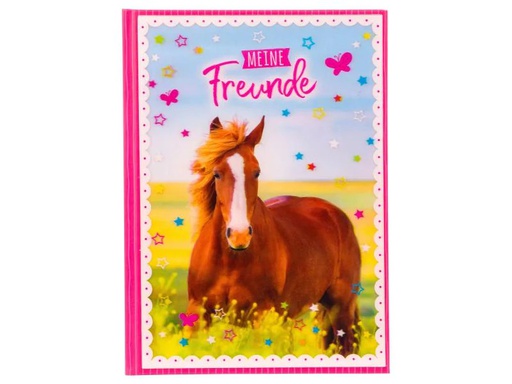 [90042366 1045614] Goldbuch Freundebuch Pferdeliebe