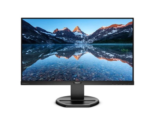[90042466 888569] Philips Monitor 252B9/00