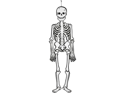 [90246344 1368651] Creativ Company Halloweenfigur Papierdeko Skelett 120 cm, 300g