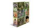 HERMA Ordner Waldtiere 7 cm, Mehrfarbig