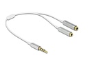 Delock Audio-Kabel Klinke 3.5 mm, male - Klinke 3.5 mm, female 0.25 m