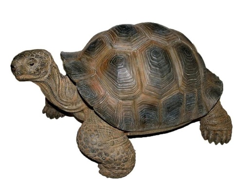 [90043576 1022119] Vivid Arts Dekofigur Schildkröte