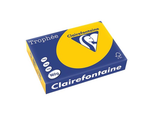 [90250248 1400017] Clairefontaine Kopierpapier Trophée Colored Copy FSC A4, Gelb, 160 g/m²