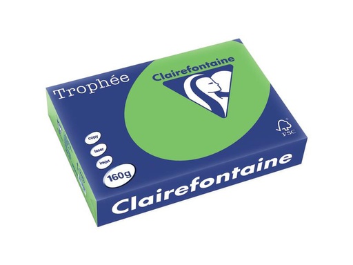 [90250388 1400016] Clairefontaine Kopierpapier Trophée Colored Copy FSC A4, Grün, 160 g/m²