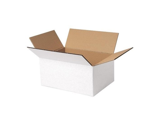 [90250437 1399923] Brieger Versandkarton 22 x 15.5 x 12 cm, 1 Stück
