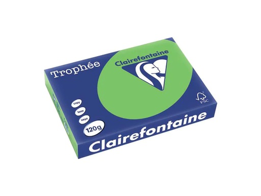 [90250874 1400014] Clairefontaine Kopierpapier Trophée Colored Copy FSC A4, Grün, 120 g/m²