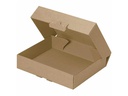 Brieger Versandkarton 15.5 x 10 x 4.5 cm, 1 Stück