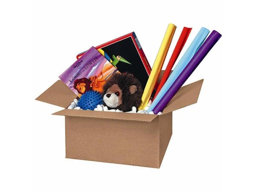 [90252520 1399922] Brieger Versandkarton 22 x 15.5 x 12 cm, 1 Stück