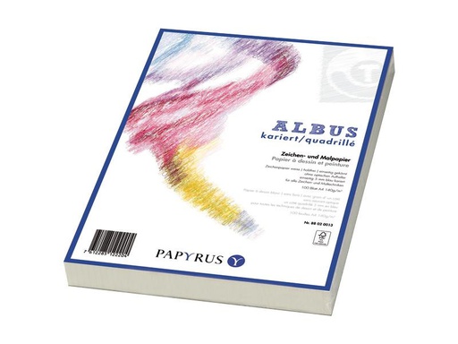 [90252678 1403355] Scaldia Zeichenpapier Albus A4, Kariert, 160 g/m², 100 Blatt