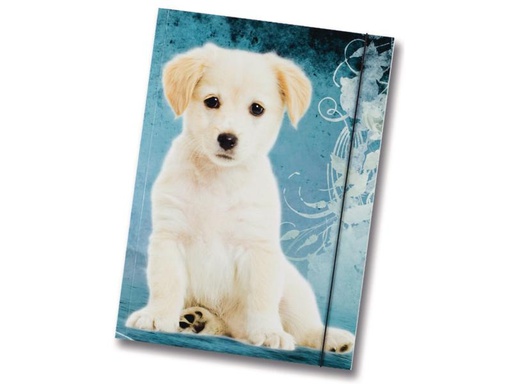 [90004400 649264] Folia Gummibandmappe A3 Hund