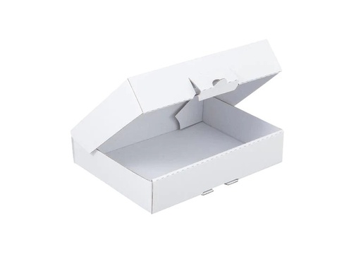 [90253636 1416755] Brieger Versandkarton Klappschachtel 22 x 15.5 x 4.5 cm