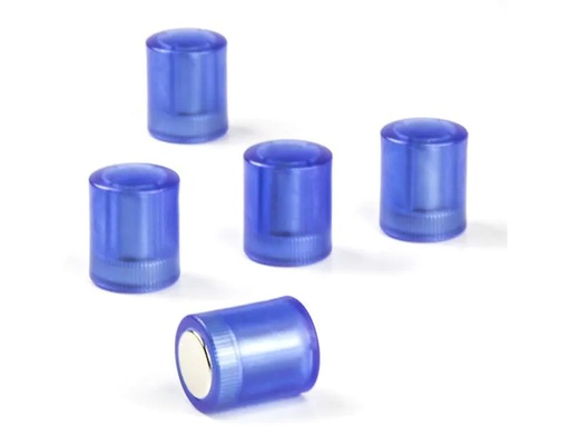 [90254354 1401926] supermagnete Haftmagnet Zylindrisch 5 Stück, Blau/Transparent