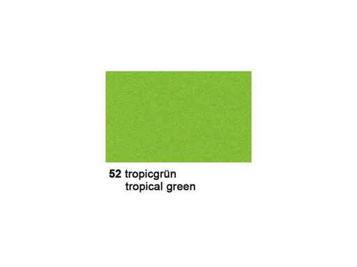 [90256119 1408980] URSUS Fotokarton 50 x 70 cm Tropicgrün