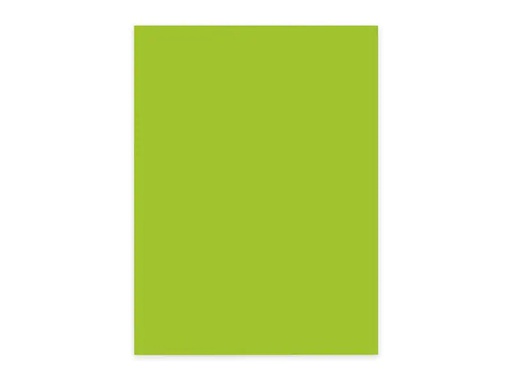 [90259221 1408061] ELCO Kopierpapier Color A4, Grün, 80 g/m², 100 Blatt