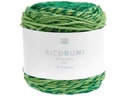 Rico Design Wolle Ricorumi Spin Spin 50 g, Grün