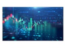 Philips Videowall Display X-Line 65BDL6005X/00 65