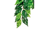 Exo Terra Regenwaldpflanze Fikus, S