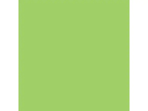 [90262341 1403592] Rainbow Kopierpapier A3, Grün, 80 g/m², 500 Blatt