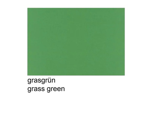 [90262361 1403441] Scaldia Tonzeichenpapier A4, 130 g/m²,  100 Stück, Grasgrün
