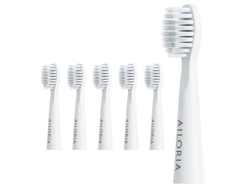 [90263484 1461561] Ailoria Zahnbürstenkopf Pro Smile 6 Stück