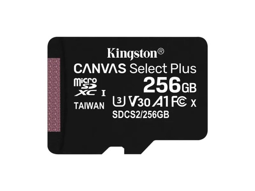 [90045898 986888] Kingston microSDXC-Karte Canvas Select Plus 256 GB