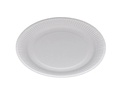 Webstar Einwegteller 23 cm, 100 Stück, Weiss