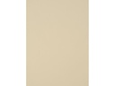 CONNECT Einbanddeckel 385 g/m², 50 Stück, Weiss