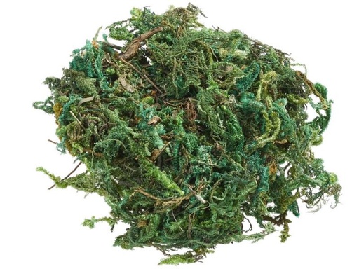 [90272063 1476877] HobbyFun Mini-Utensilien Moss 20g, Hellgrün