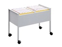 DURABLE Hängemappenwagen Economy 100 DUO A4 Silber
