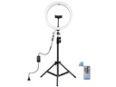 Puluz Videoleuchte LED RGB 30 cm inklusive Stativ