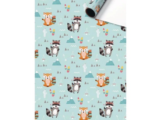 [90047019 870471] Stewo Geschenkpapier Matz 1 Stück, Mint/Orange, 70 cm x 2 m