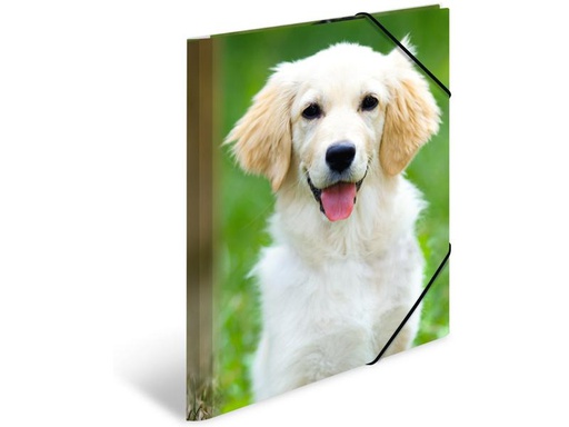[90275325 1503256] HERMA Gummibandmappe A4 Hunde, Polypropylen, mit Innendruck