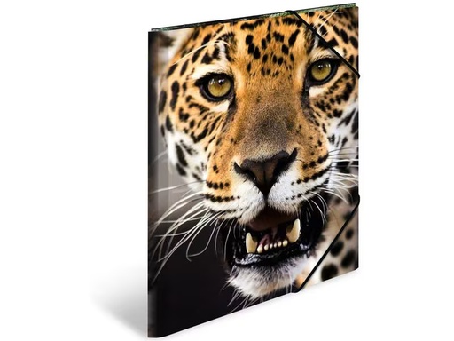 [90275348 1503263] HERMA Gummibandmappe A3 Leopard, Polypropylen, mit Innendruck