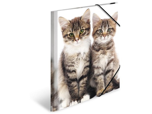 [90275398 1503250] HERMA Gummibandmappe A4 Katzen, Polypropylen, mit Innendruck