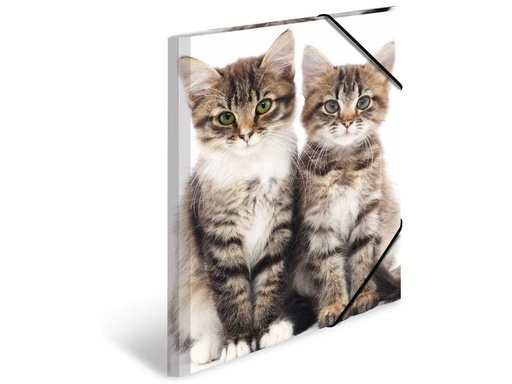 [90275532 1503251] HERMA Gummibandmappe A3 Katzen, Polypropylen, mit Innendruck